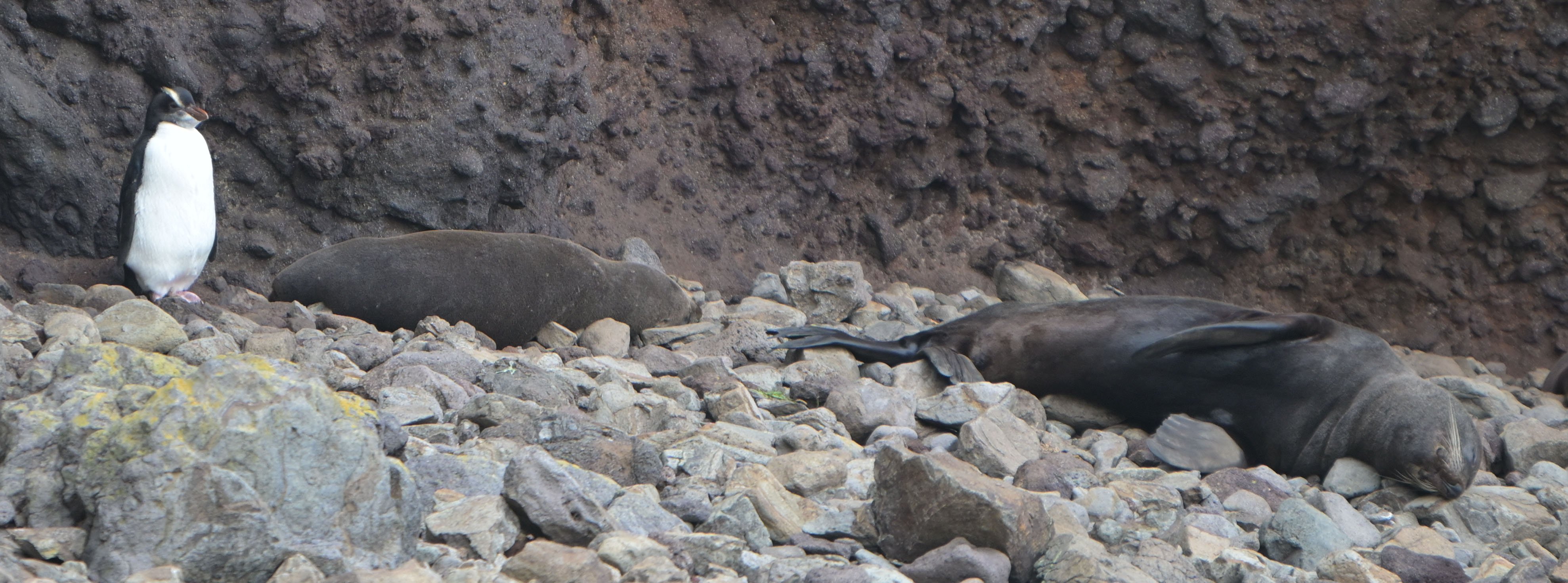 PHOTO: GERARD O’BRIEN