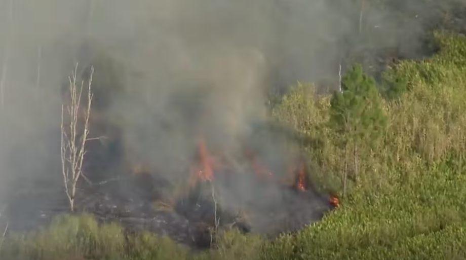 A light plane crash has left two people dead and sparked a fire in bushland near an airfield. PR...