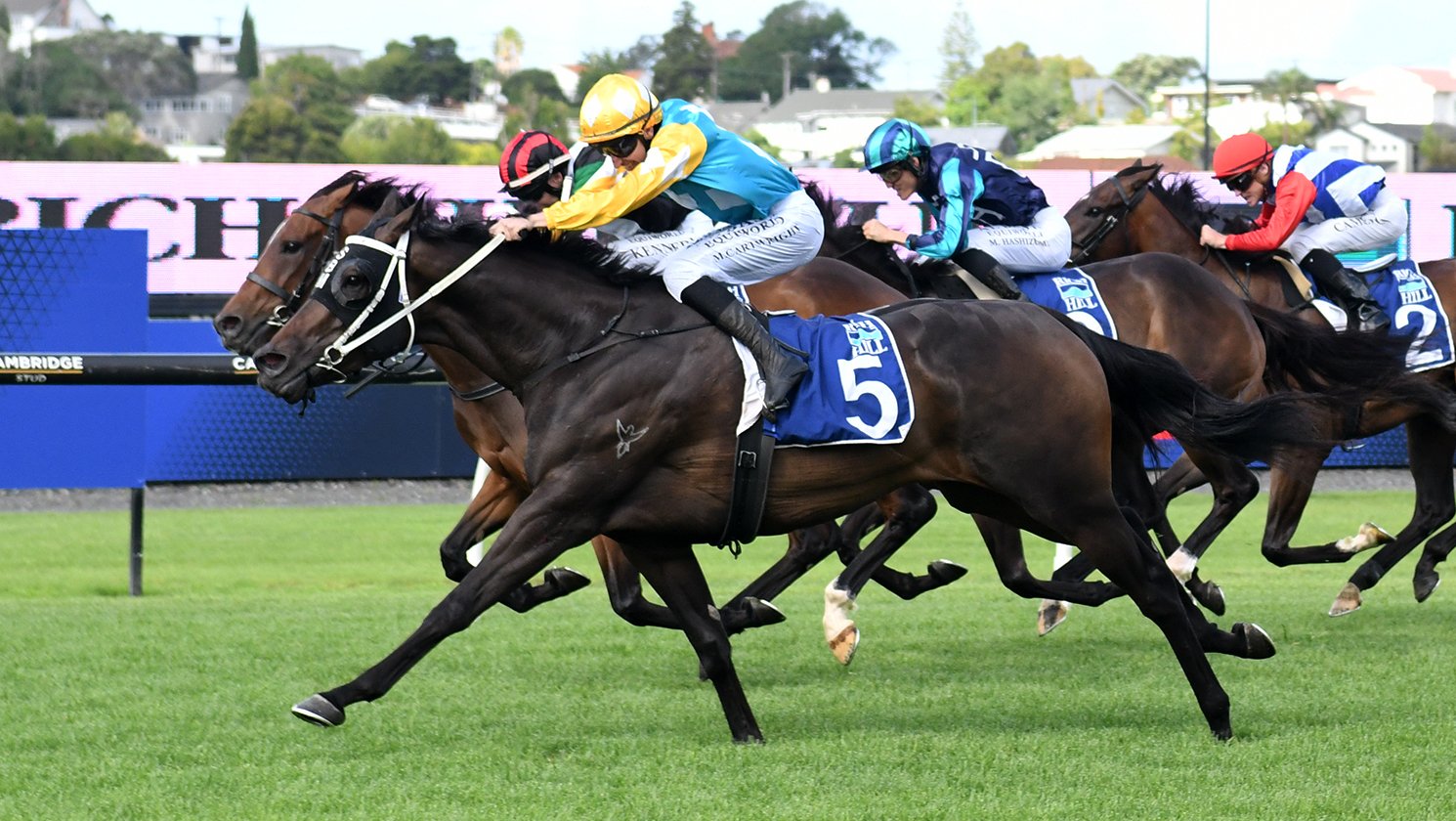 Queen Zou wins the Rich Hill Mile at Ellerslie yesterday. PHOTO: KENTON WRIGHT/RACE IMAGES