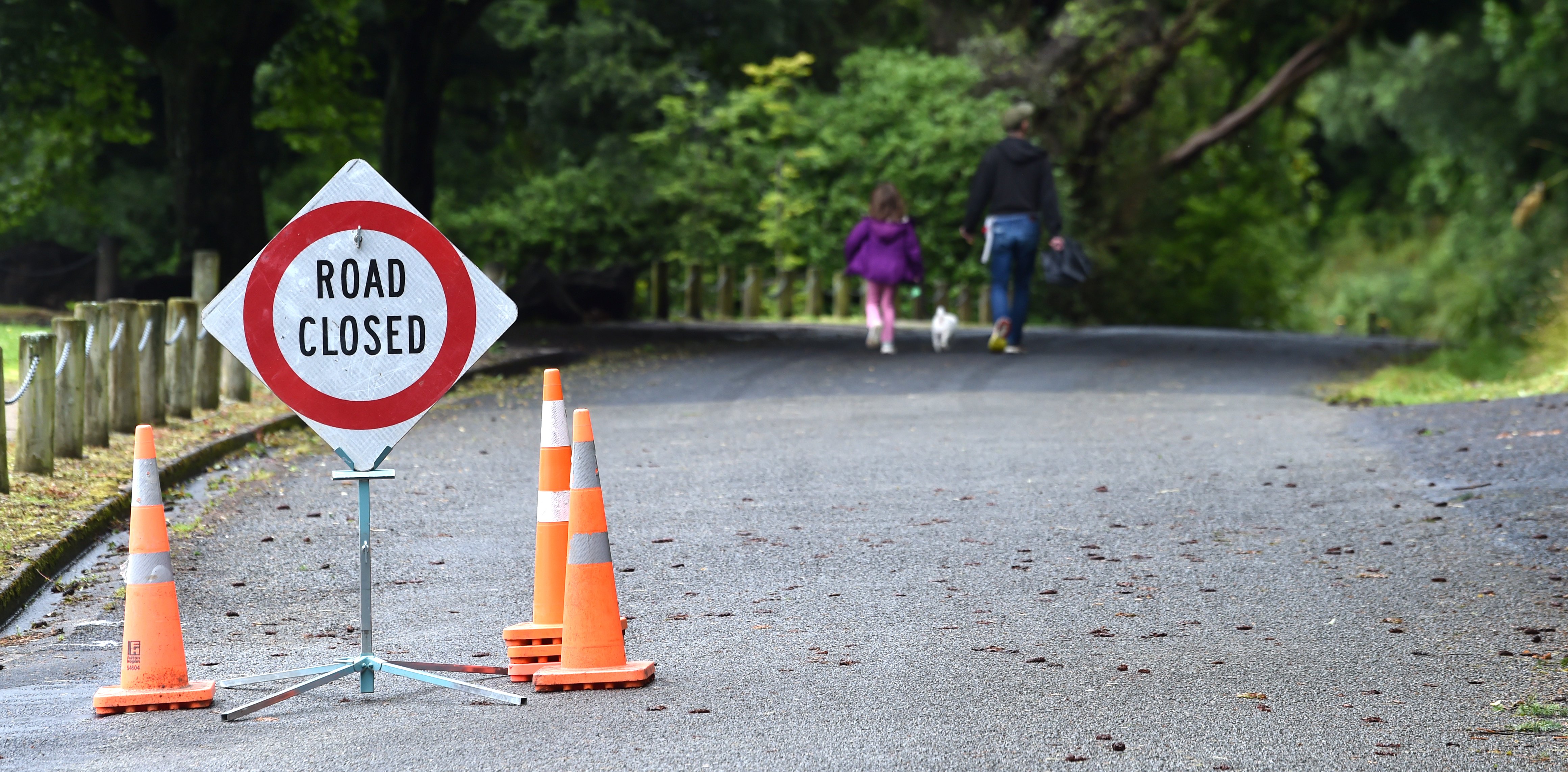 PHOTO: PETER MCINTOSH