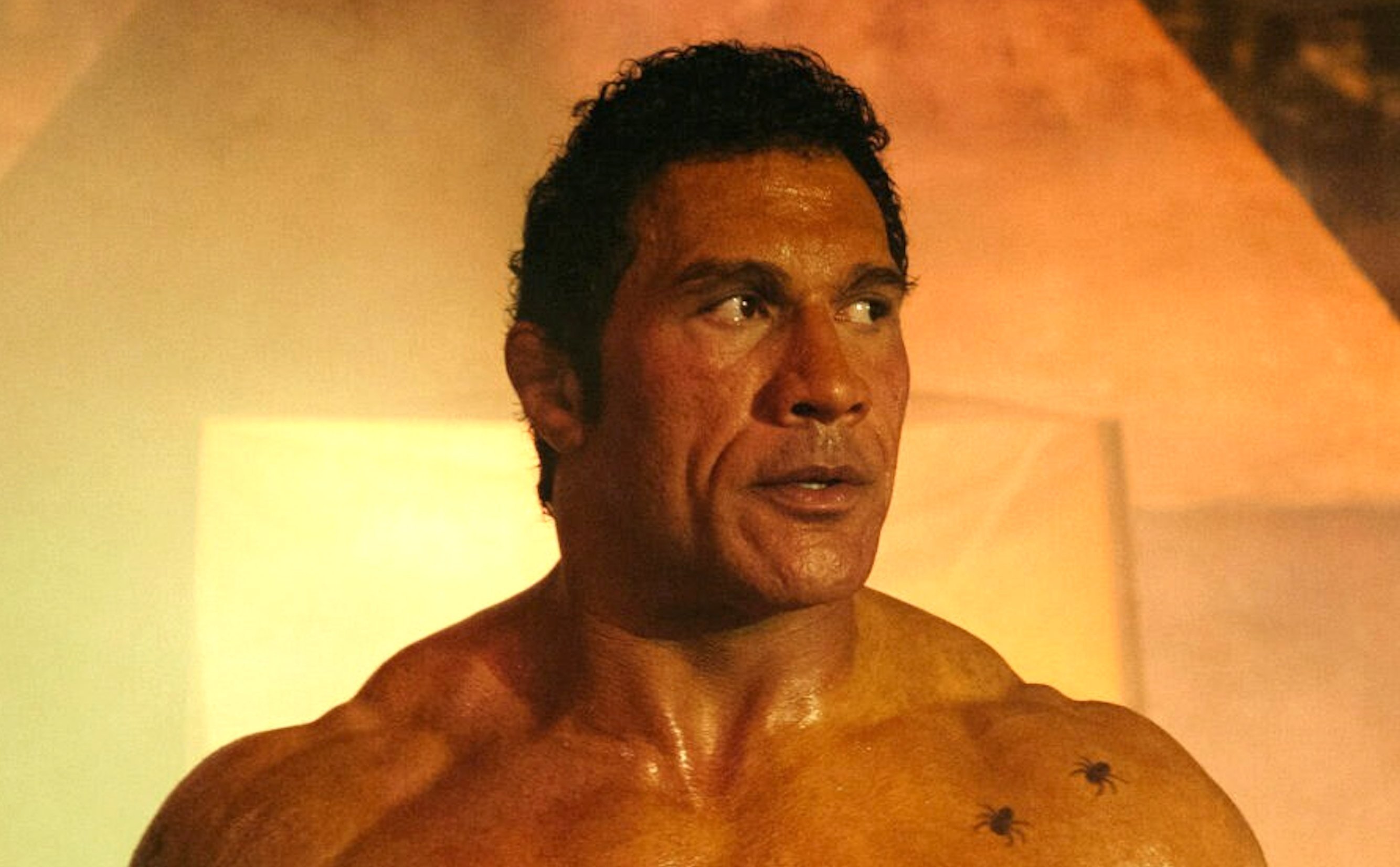 Dwayne ‘‘The Rock’’ Johnson made a complete transformation for The Smashing Machine