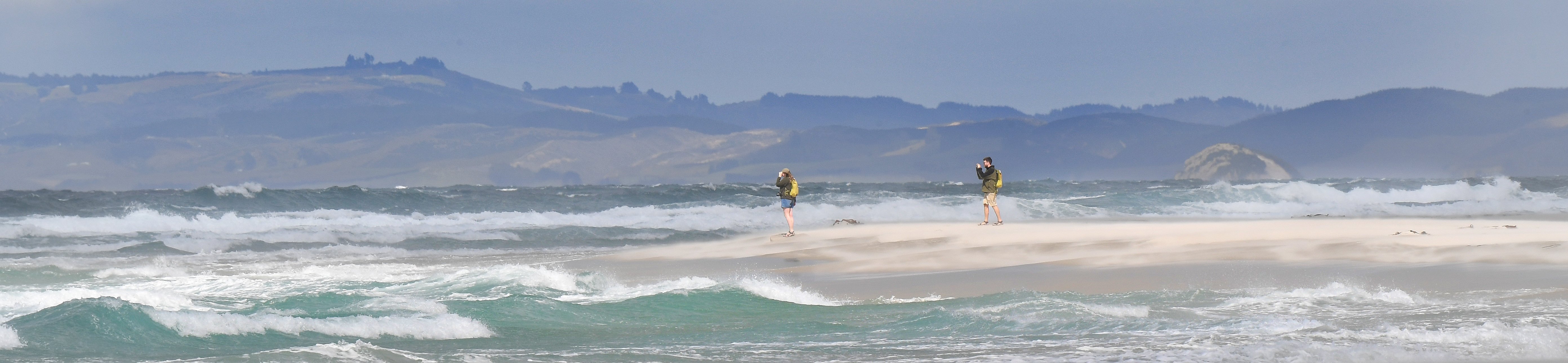 PHOTO: STEPHEN JAQUIERY