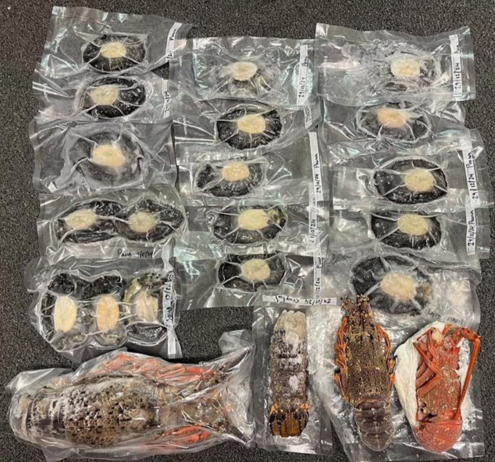 Joshua Spooner's catch. He pleaded guilty in the Nelson District Court to selling seafood without...