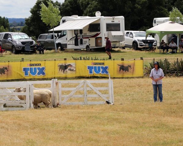 Kay McClymont, of Tapanui, and her dog Peggy Sue (obscured) compete in the maiden section at the...