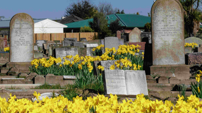 Many who died in the former Sunnyside Hospital were interred in Sydenham Cemetery. Photo: CCC