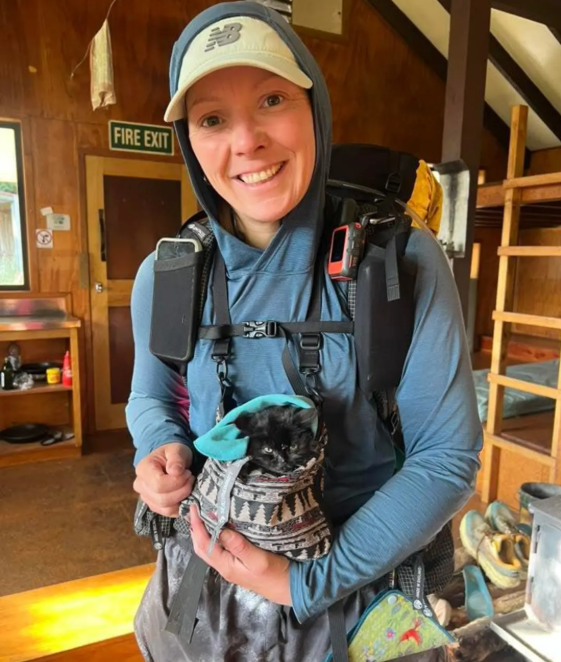 Bluffy was found near Lake Sumner in Canterbury earlier this week by hiker Katie Evans. Photo:...