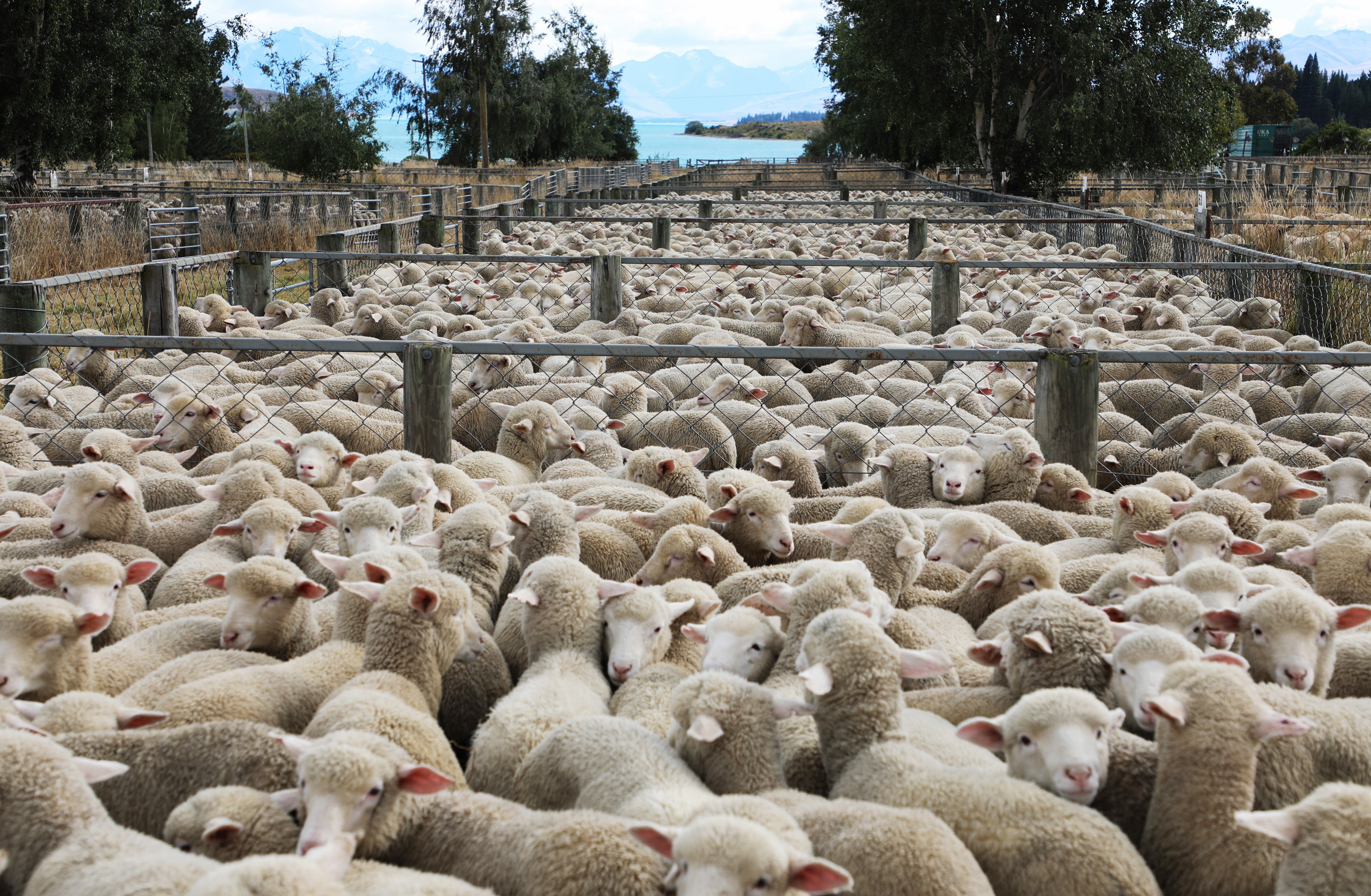 PHOTO: GEORGE EMPSON