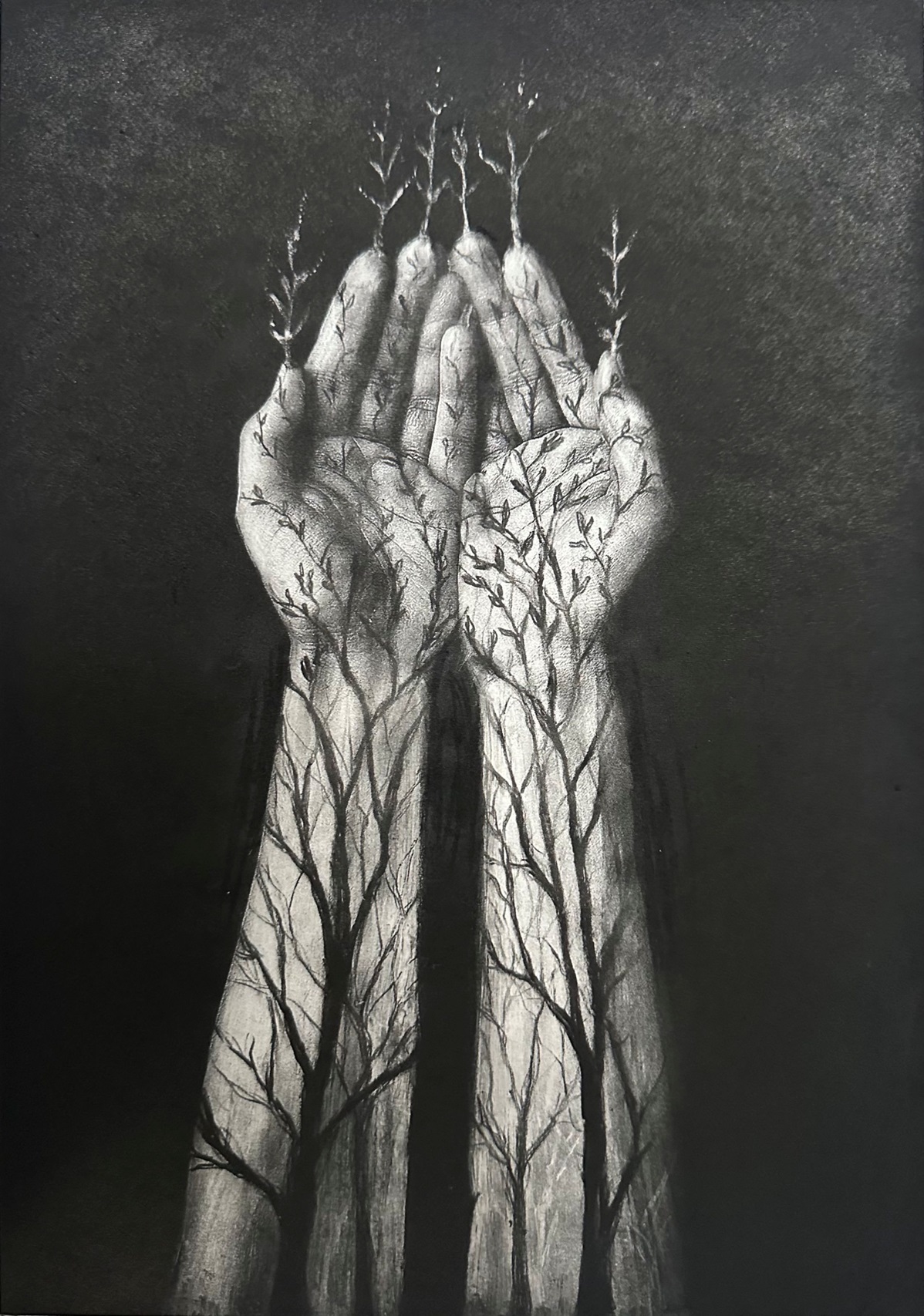 Prue MacDougall, Touch Wood, 2025, photopolymer intaglio etching