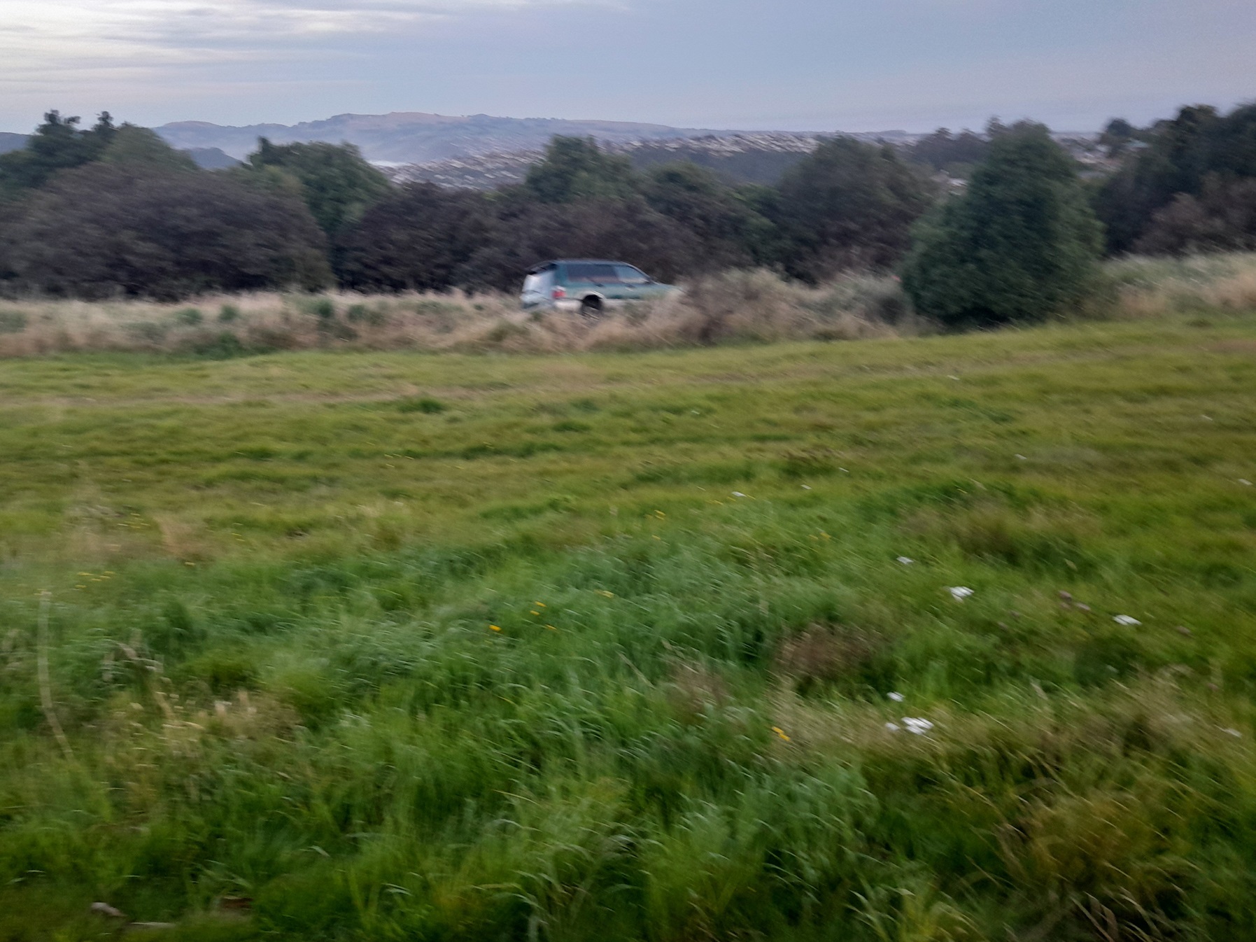 A car was found off Dalziel Rd near Brockville last night. Photo: Stephen Hepburn