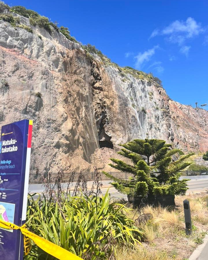 Police said reports of the rockfall in Clifton near Shag Rock, Christchurch, started to come in...