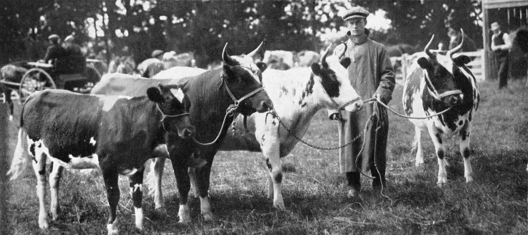 Photo: Otago Witness