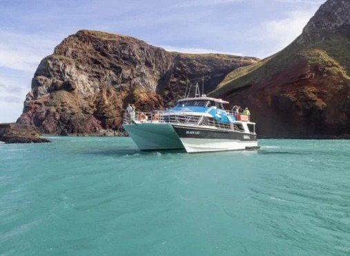 Photo: Black Cat Cruises