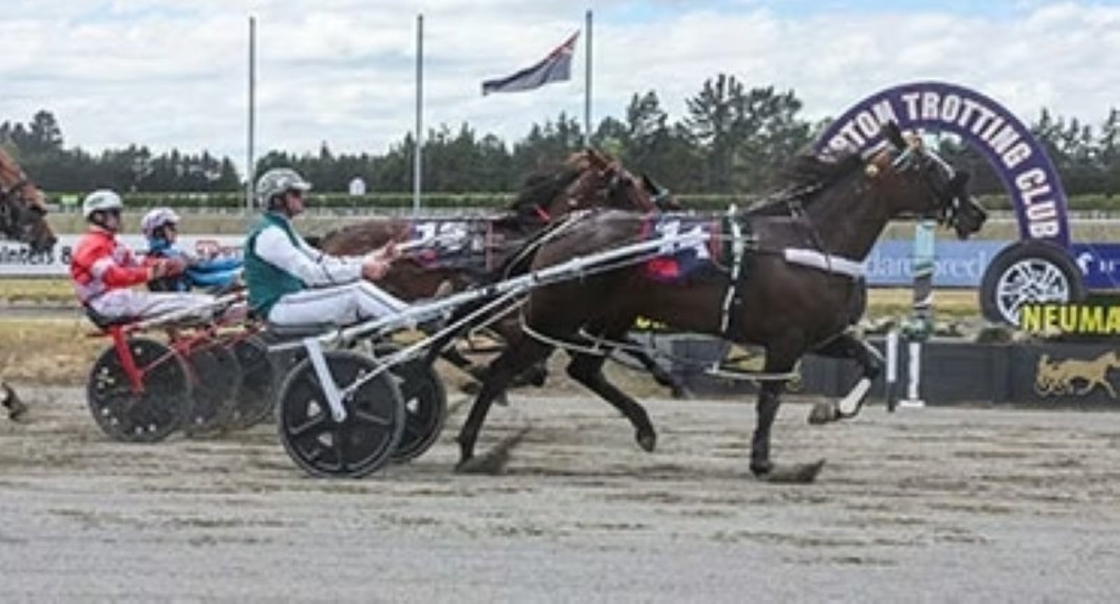 Dynasty claims her second win as a trotter when successful at Addinton on Wednesday night. Photo:...