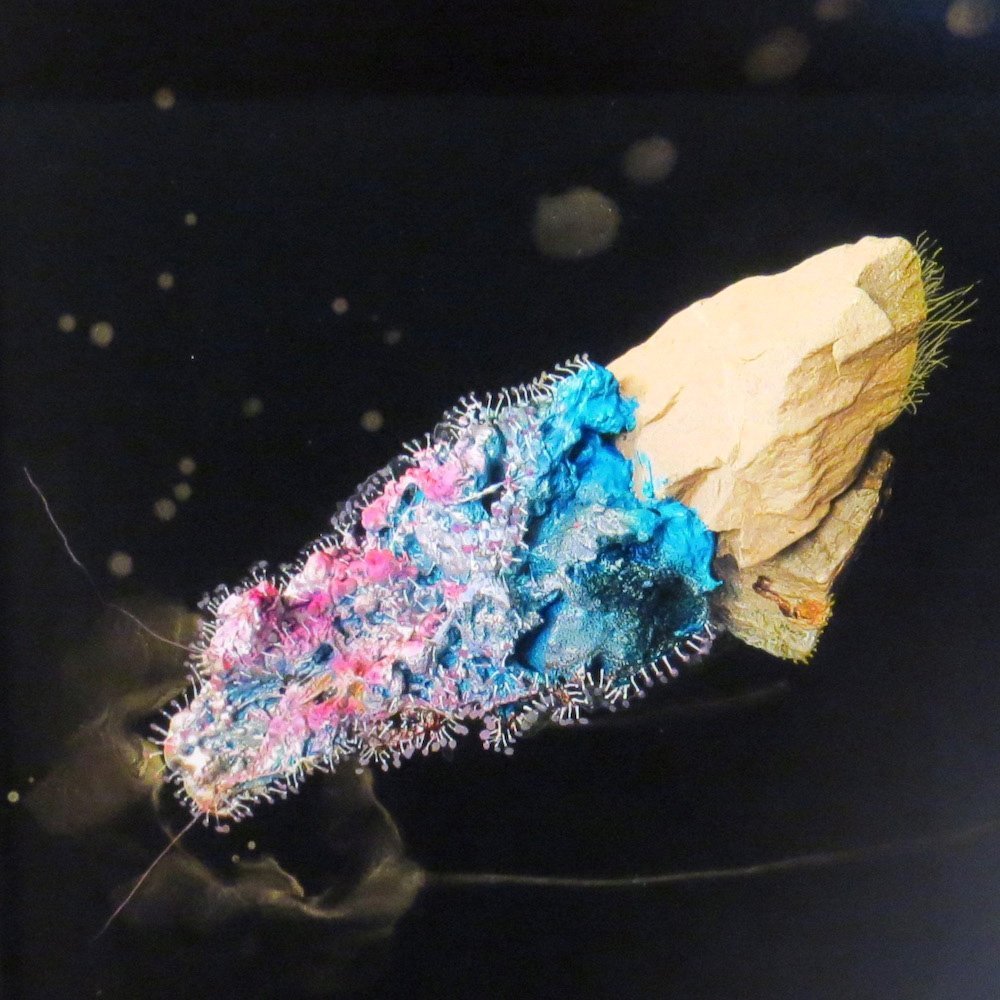 Geomorphic Acts 2 — No. 3, by Edwards+Johann.

