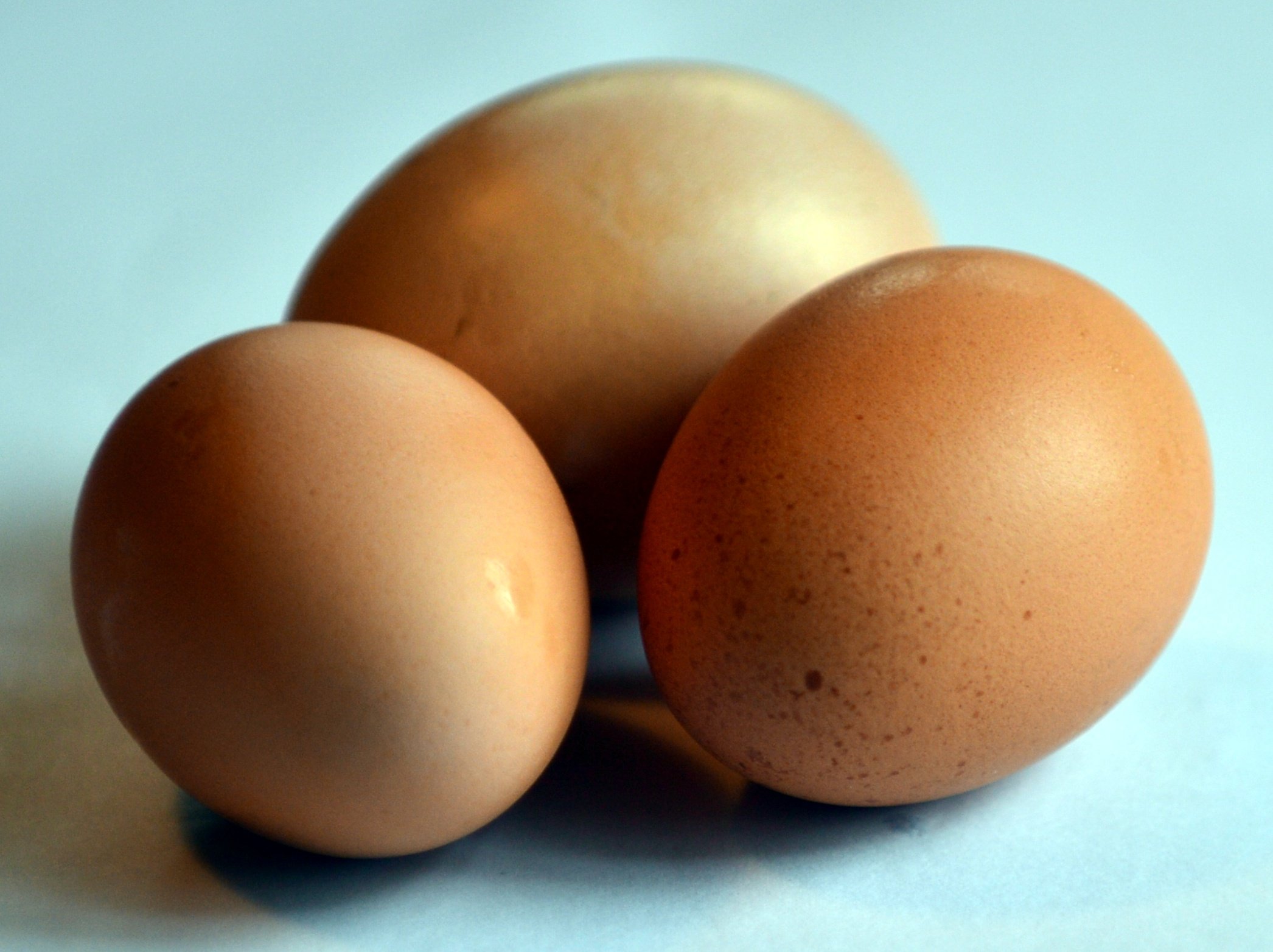 Eggs, not to be thrown at freshers. File photo: Peter McIntosh