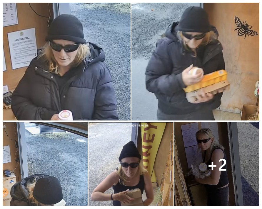 The alleged honey thief captured by Otago Gold Honey CCTV footage over a two-year period. Photo:...