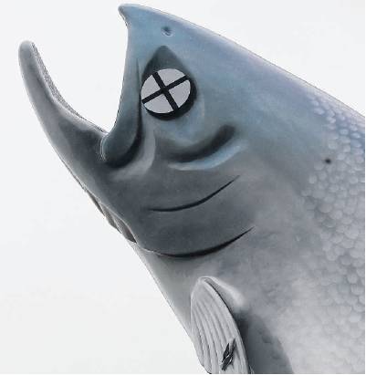 The defaced Rakaia salmon, with tape remaining on its fin from a speech bubble now believed to be...