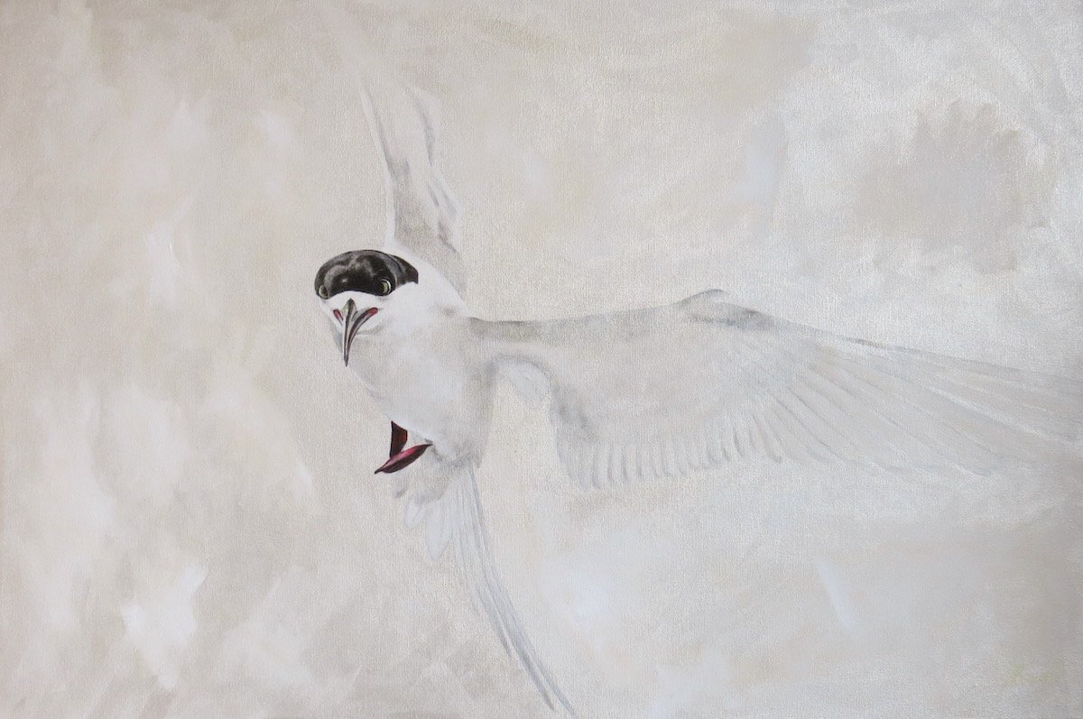 Freedom, by Jo Craig.

