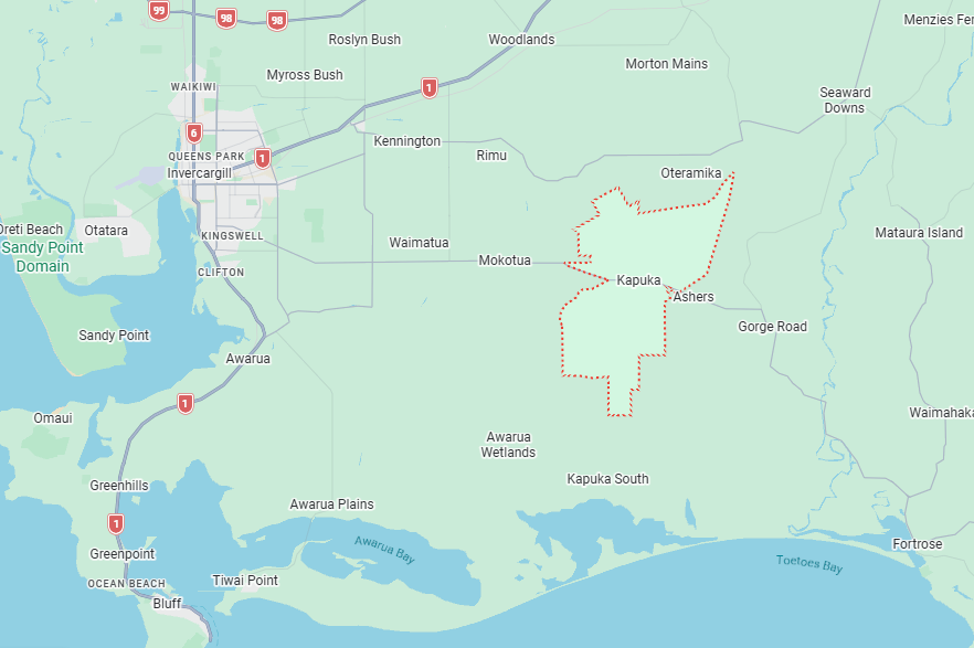 Recent searches focused on Mr Belling's Caeser Road property in Kapuka. Photo: Google Maps