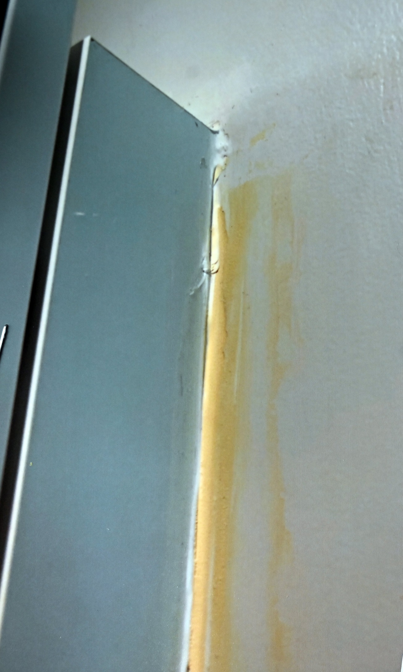 Dias’ work on the home of a Southland woman was "significantly below acceptable professional...