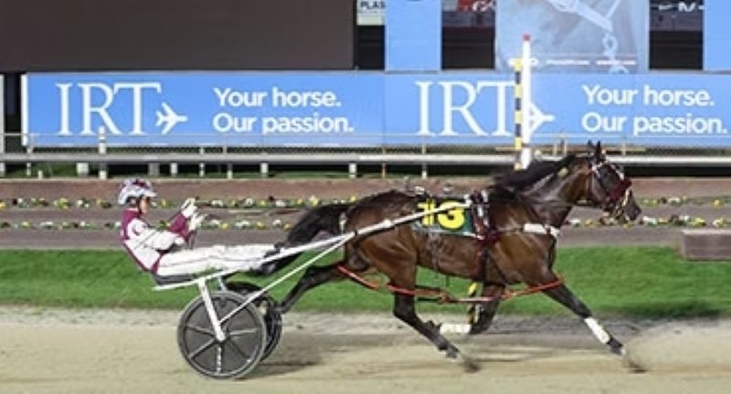 Republican Party has drawn well in tonight’s Lilmore Cup. Photo: HRNZ
