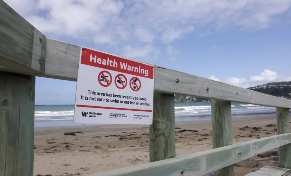The public are advised to avoid south coast beaches. Photo: RNZ 
