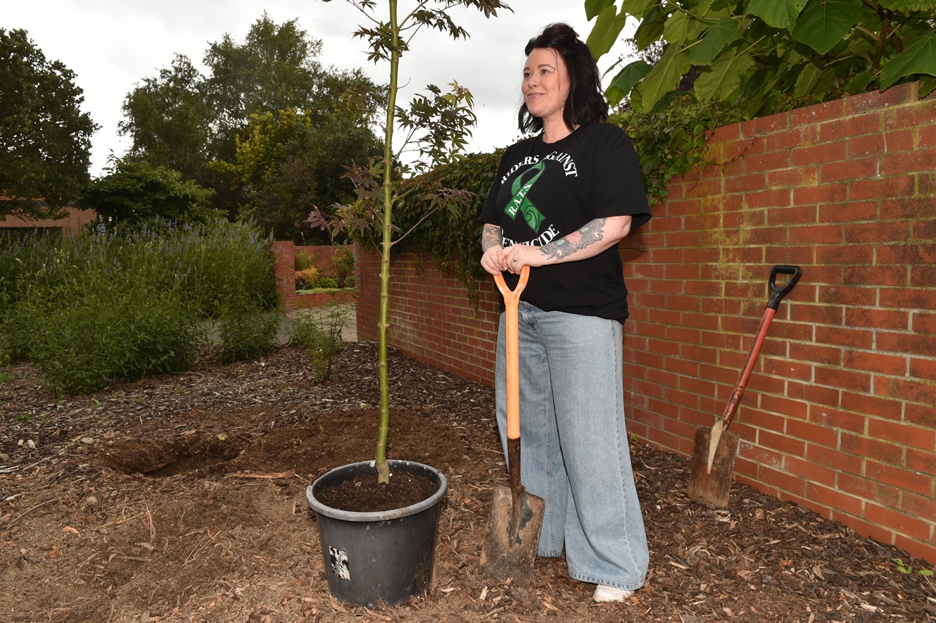 Suicide prevention advocate Nikki Cockburn plants a suicide remembrance tree. Photo: Gregor...