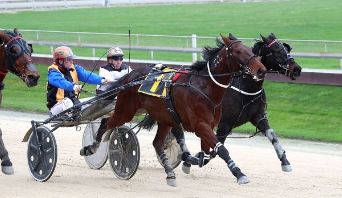 Take After Me notches a win at Addington. Photos: HRNZ