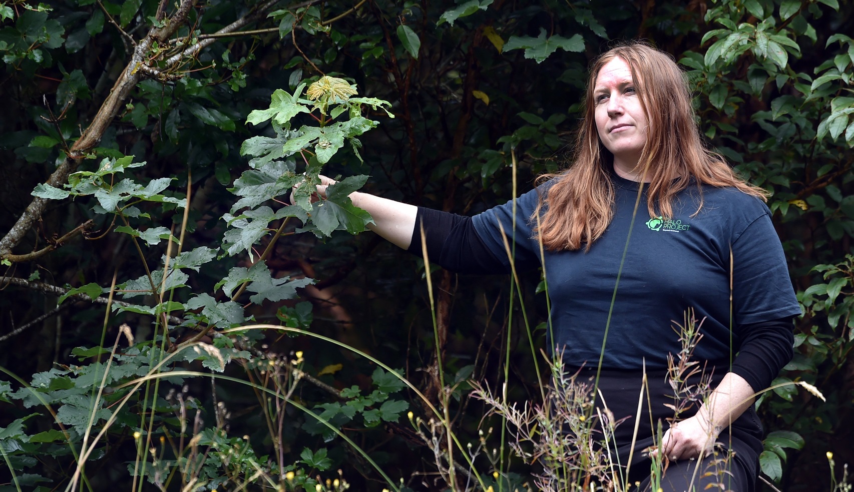 Halo Project's Source to Sea project manager Alice Macklow holds a sycamore tree on Blueskin Rd...