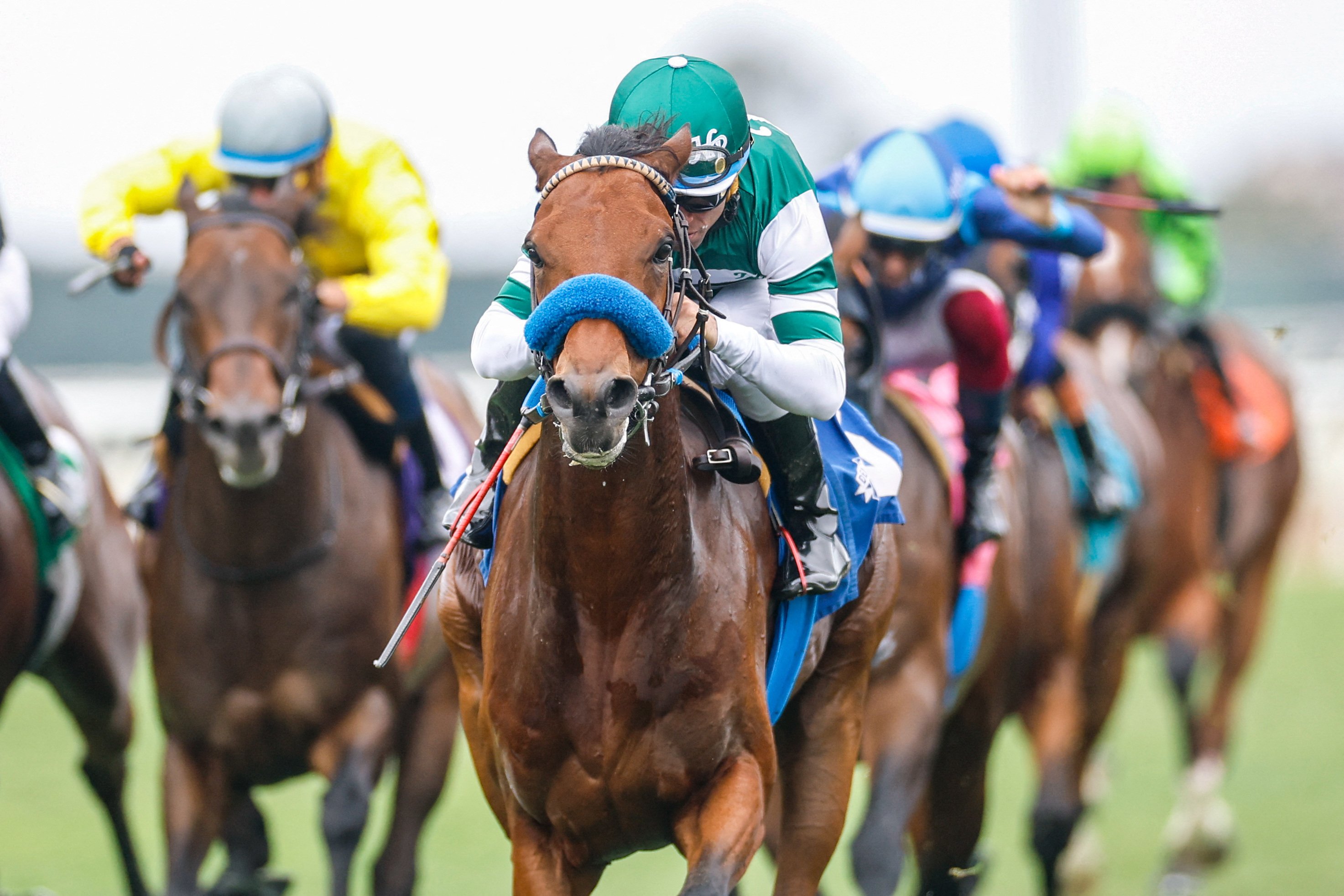 Our political parties have become racehorses. PHOTO: DAVID FRERKER-IMAGN IMAGES