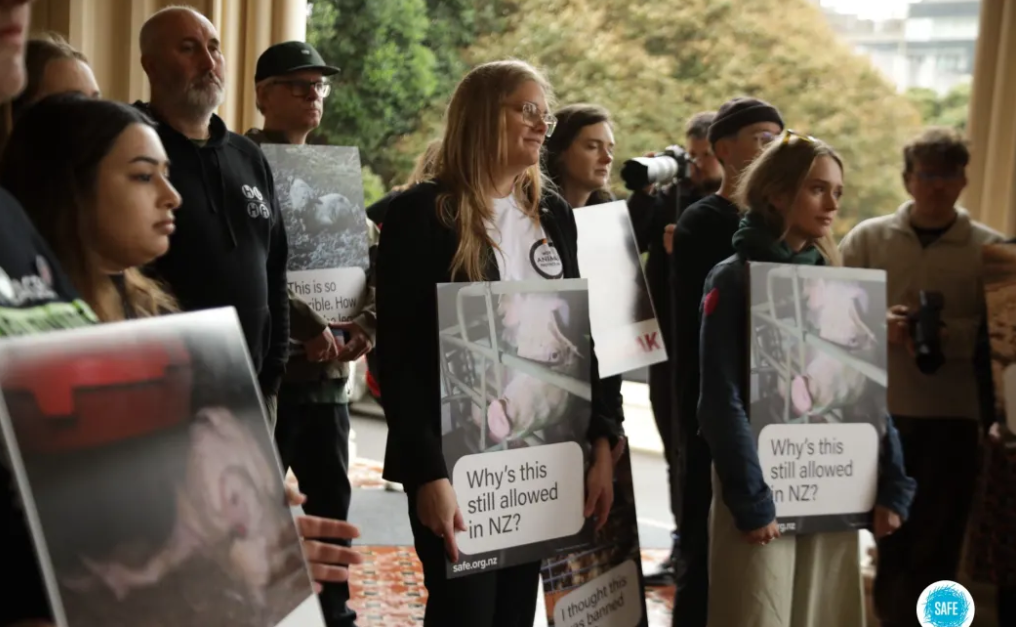 Animal protection organisations delivered the petition to Parliament today. Photo: Supplied /...