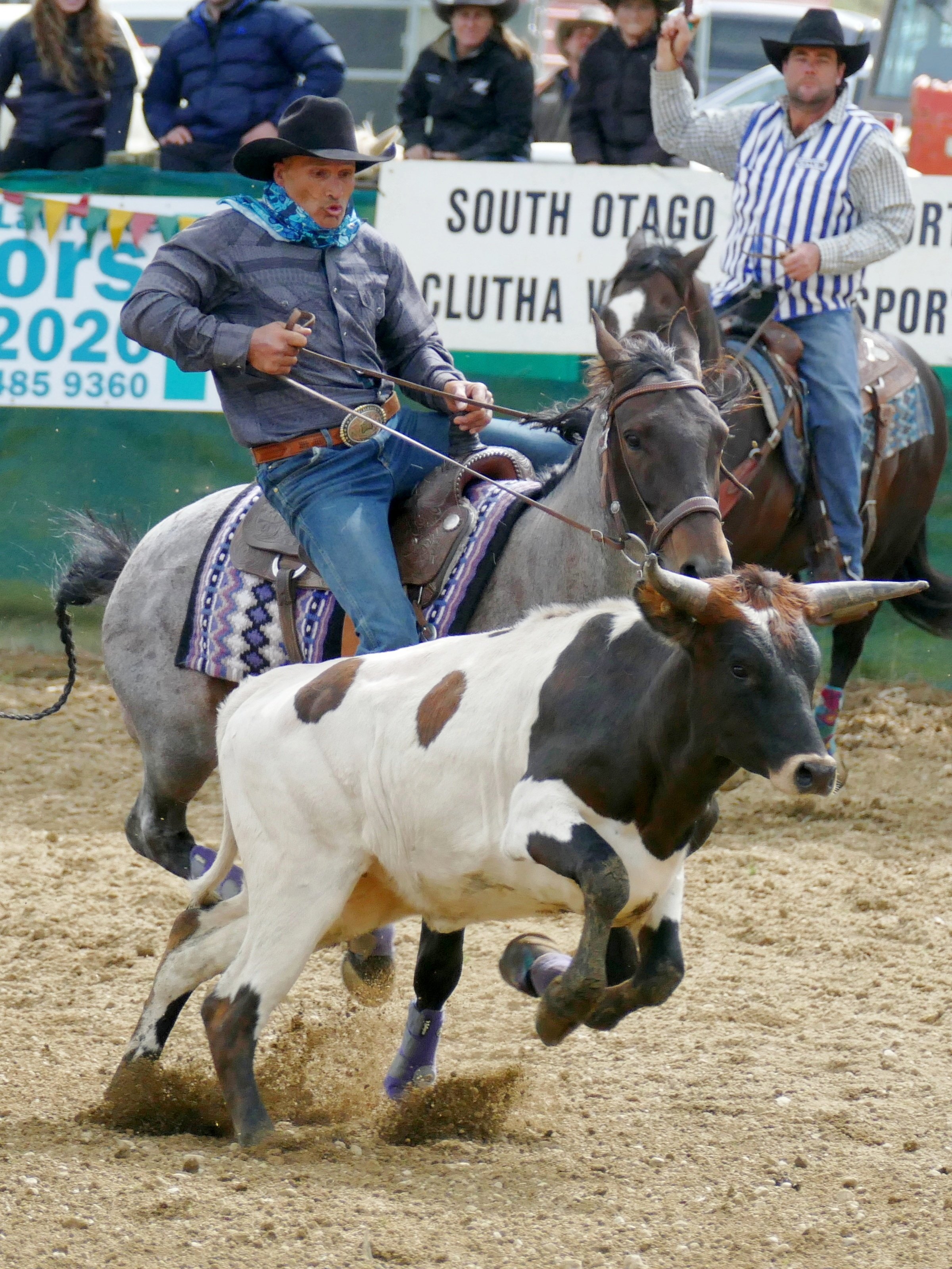 Seasoned rodeo performer Rex Church, of Poolburn, competes in the steer wrestling slack in a gap...