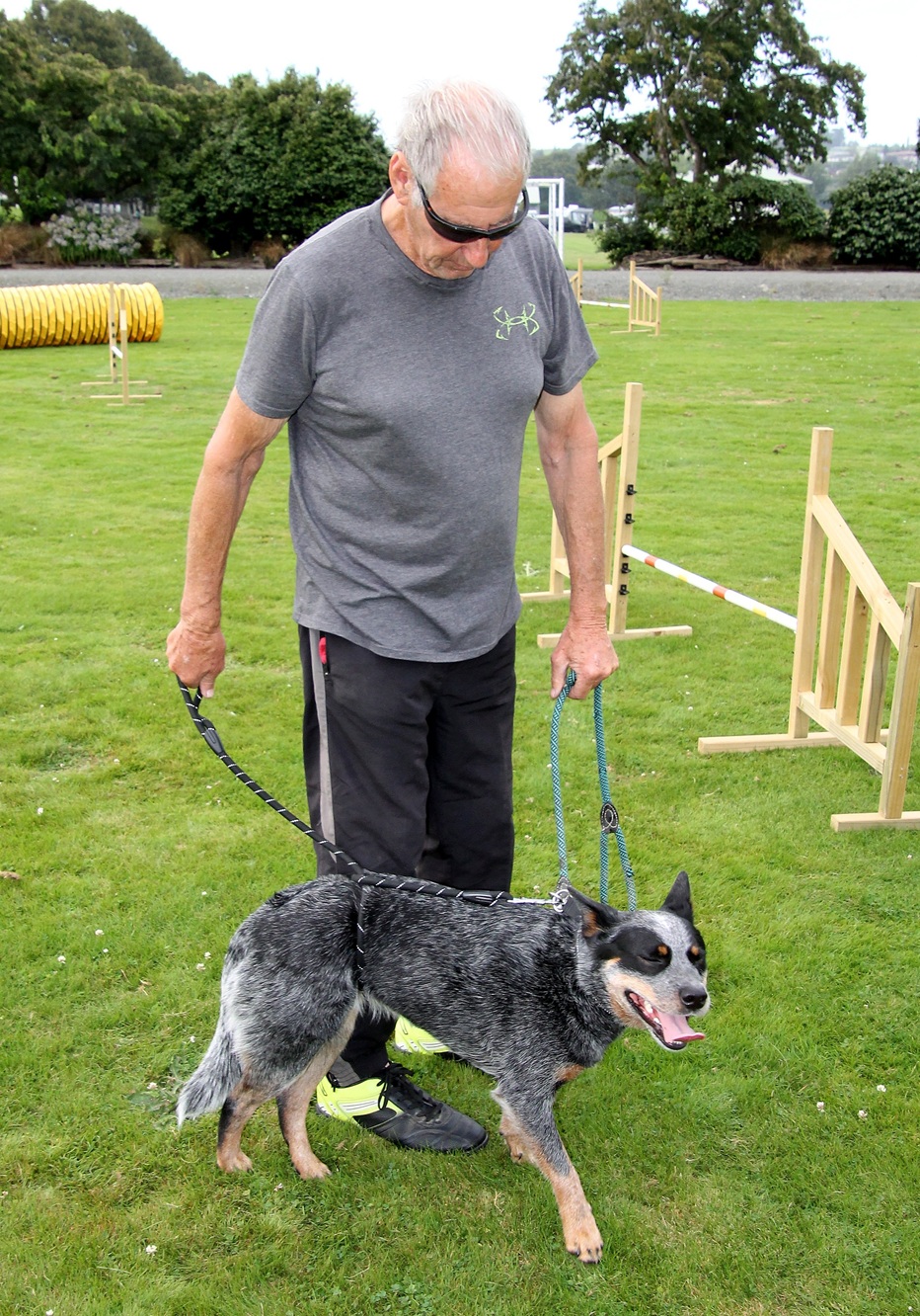 Balclutha dog trainer Alan Booth demonstrates a walking-to-heel training technique with Kirby,...