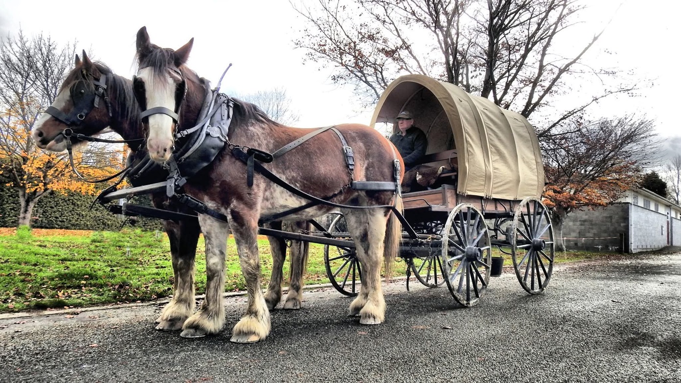 Southland Shafts & Wheels is holding an open day at Gore A&P Showgrounds on Sunday, where...