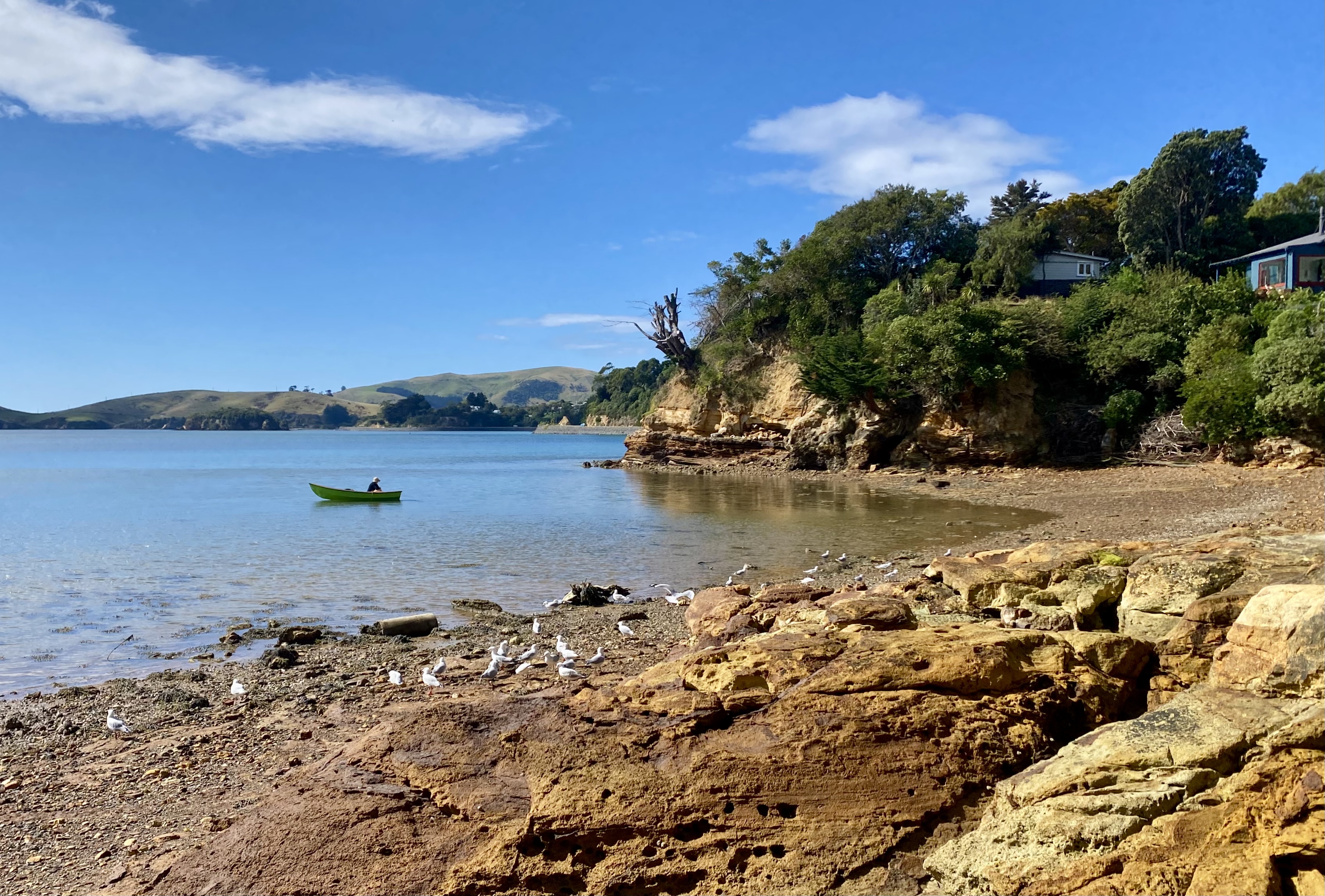 My neighbour Else Besuijen listening to the birds at Ladies Beach, Yellowhead, Otago Harbour.