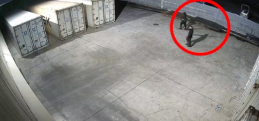 Moke and another person make their way towards shipping containers in the yard. Photo: Supplied

