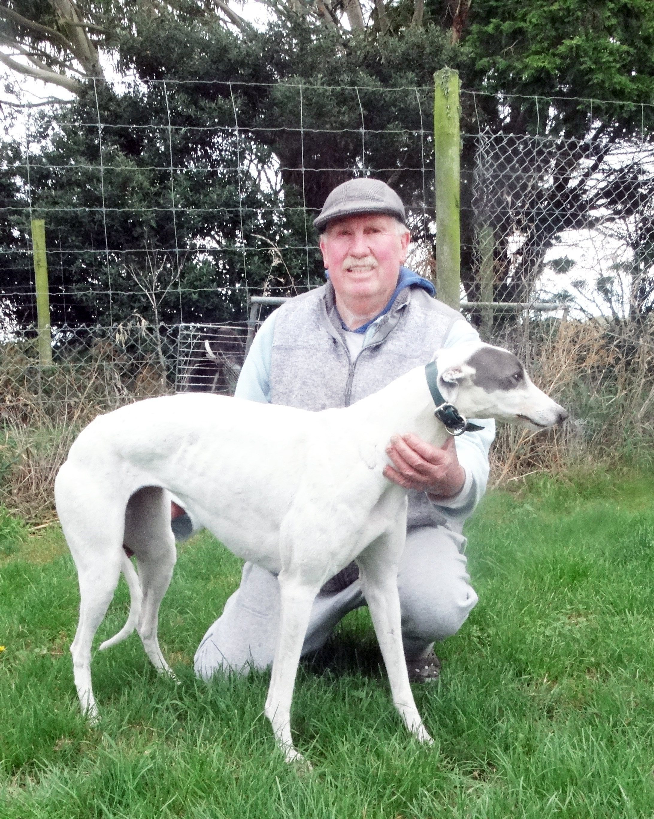 Greyhound breeder John Allen is concerned for the welfare of his 4-year-old dog, Dot, and two...