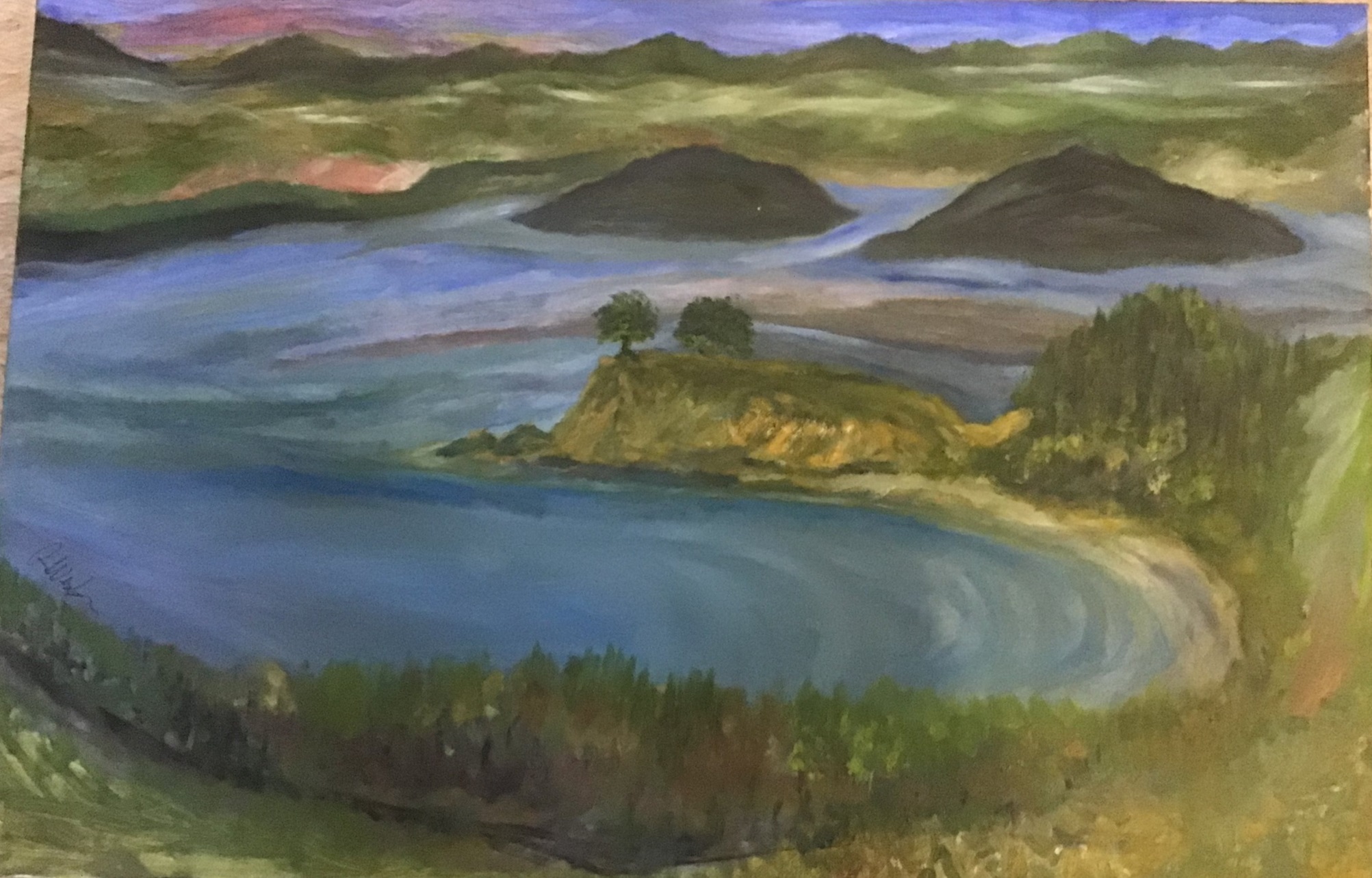 A view of Otago Harbour, painted by OpenArts Inc president Roger Weston, will be among the works...