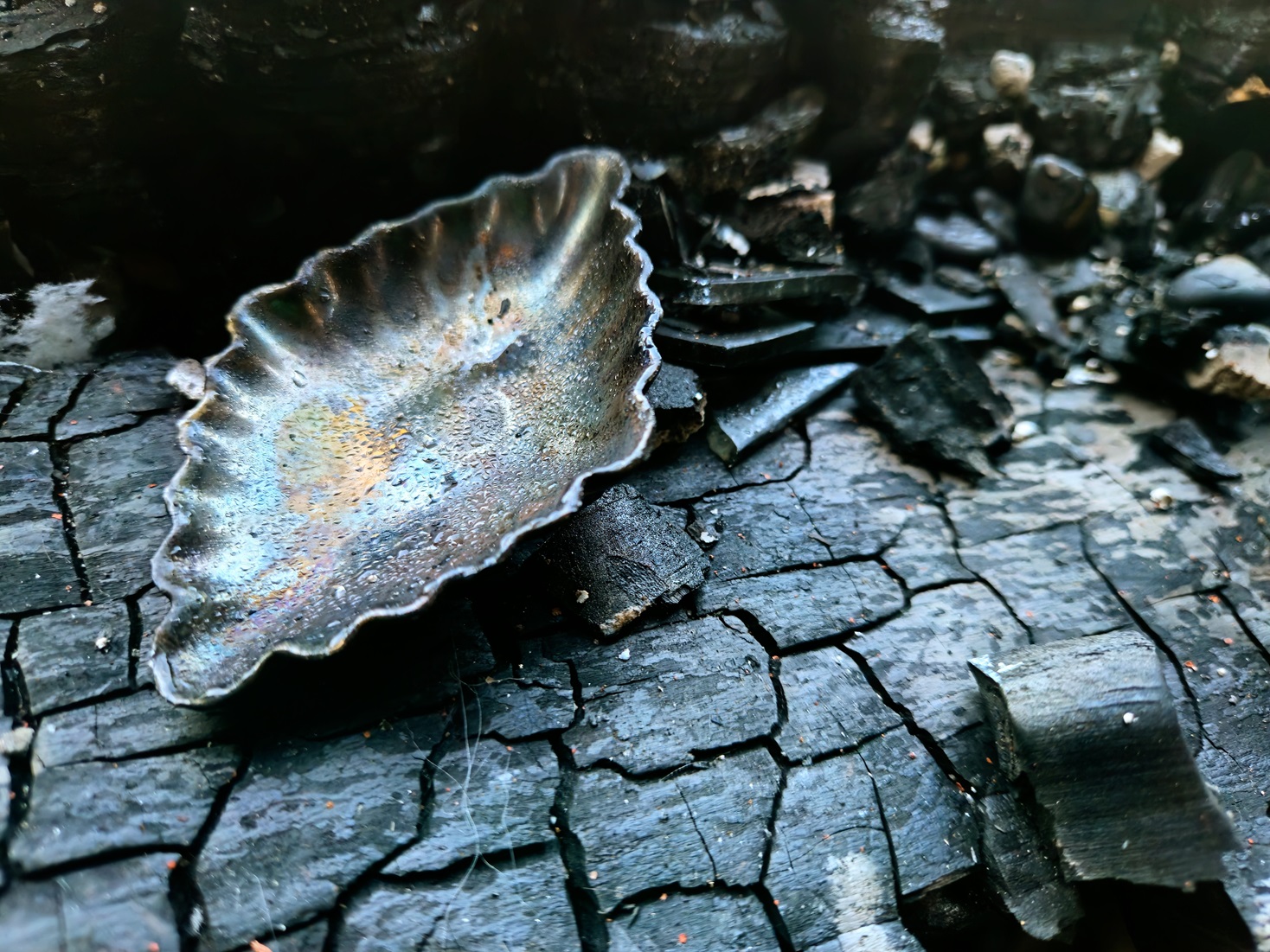 One of the images Wardell took of the fire damage to her home, part of a sequence called Follow...