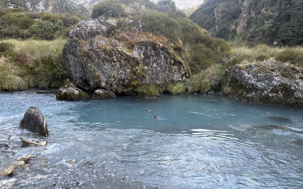 Photo: Supplied / Southern Lakes Sanctuary