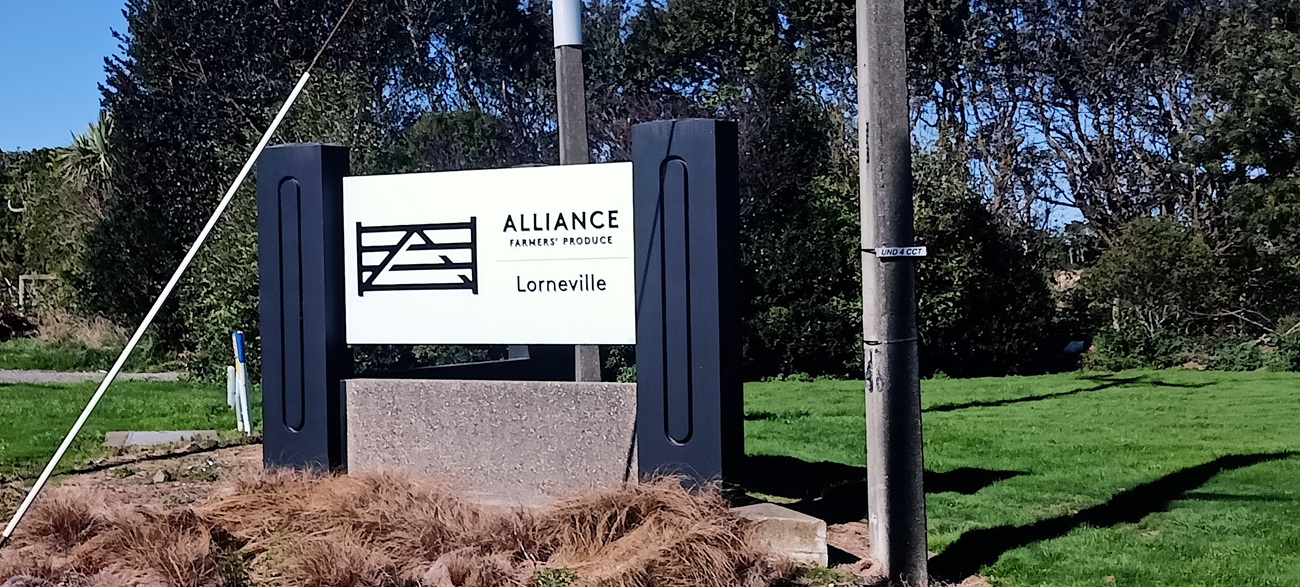 Photo: Toni McDonald