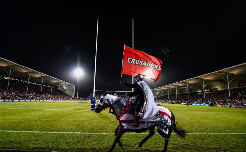 The horses have been appearing at Crusaders games for 30 years. Photo: Crusaders