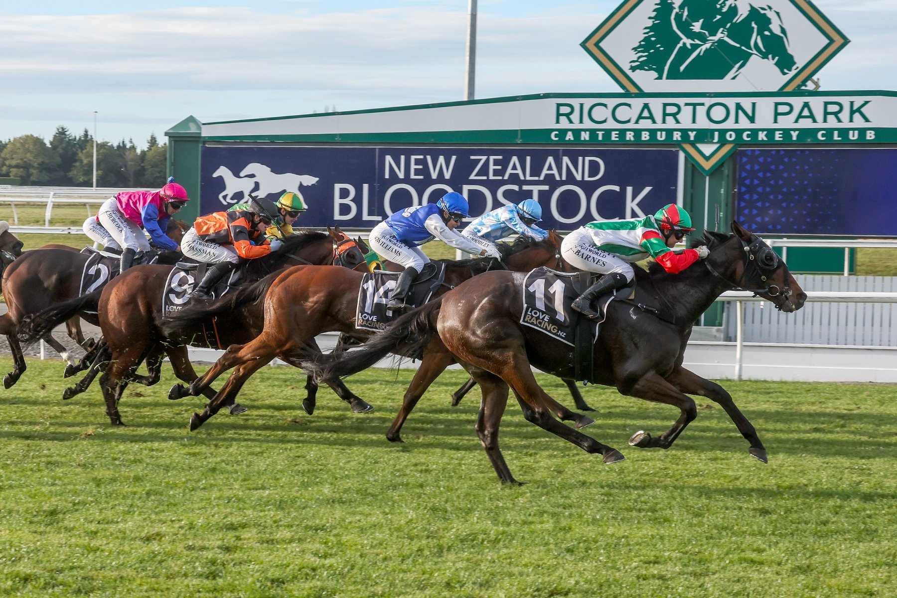 Baubles wins the Canterbury Gold Cup at Riccarton on Saturday. PHOTO: RACE IMAGES SOUTH