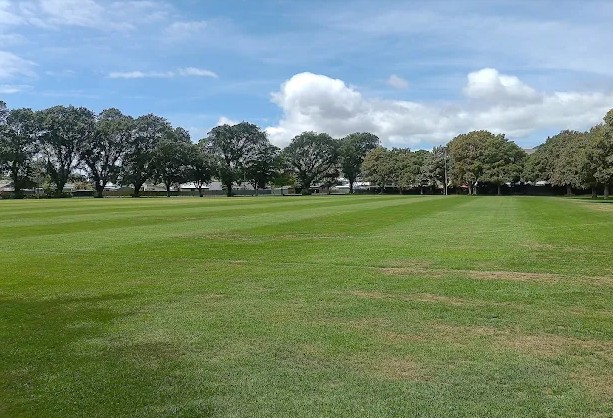 Bradford Park, Sydenham. Photo: Google