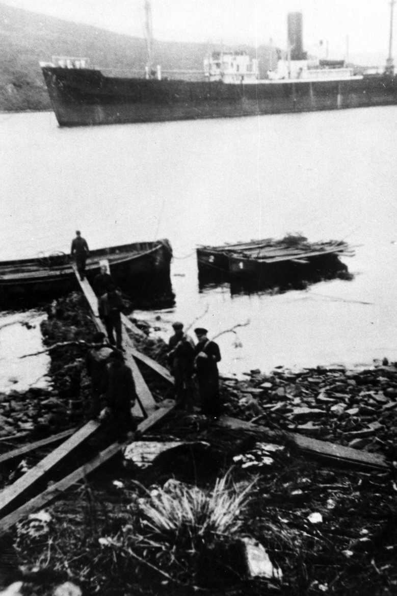 Loading firewood onto barges at Carnley Harbour, SS Erlangen at anchor in background.