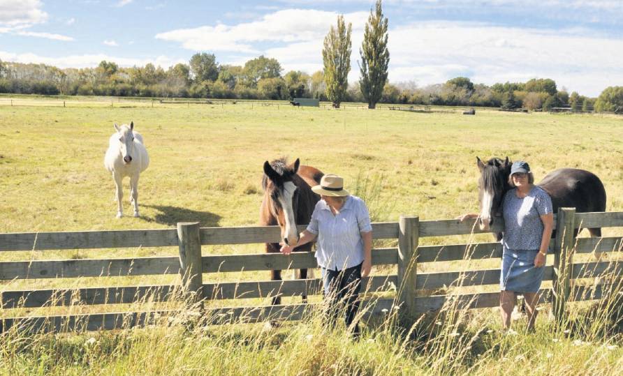 North Canterbury Riding for the Disabled president Kerry Debenham, left, with the registered...