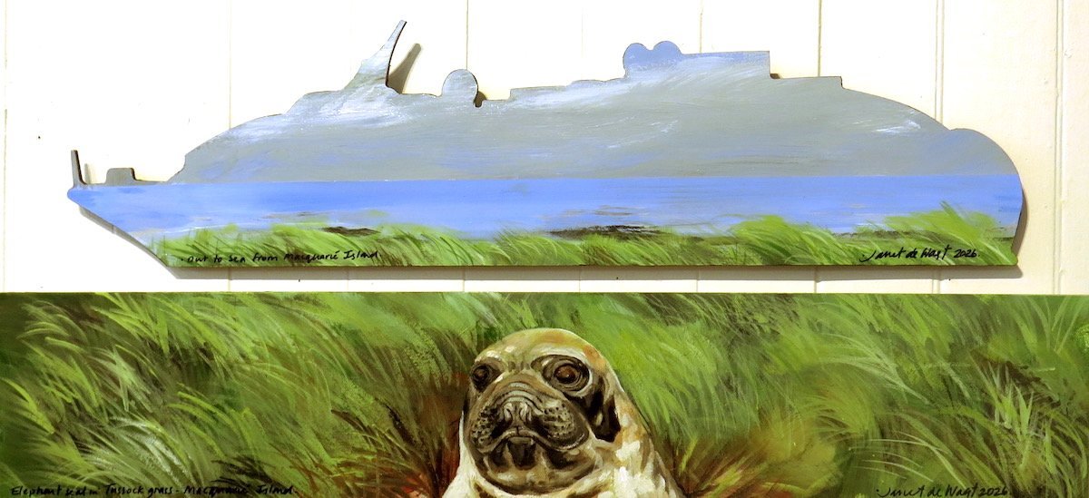 Out to Sea from Macquarie Island — Elephant Seal in Tussock Grass, by Janet de Wagt. Photo:...
