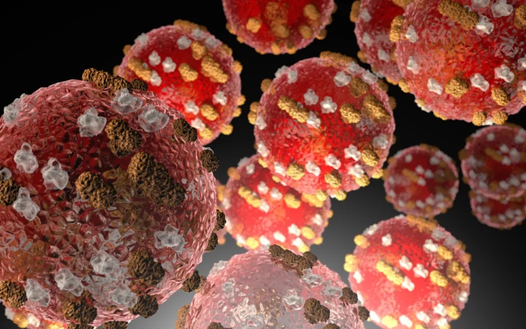 Photo: Supplied/ US CDC
