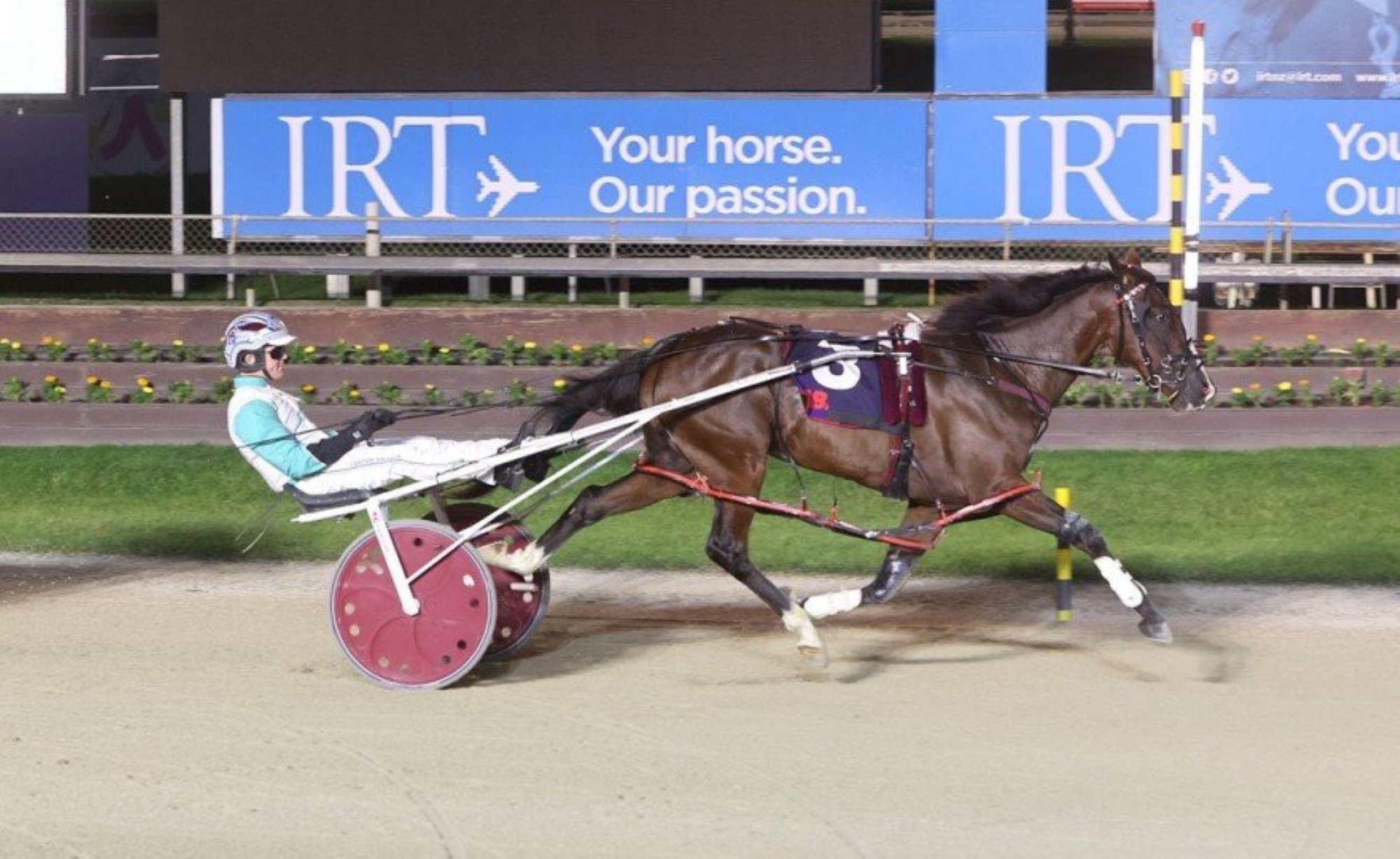 Roger That will start as a warm favourite in the group 1 feature  for 2-year-olds at Ascot Park...