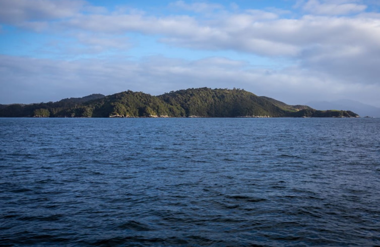 The man was found dead on Stewart Island. Photo: RNZ / Nate McKinnon